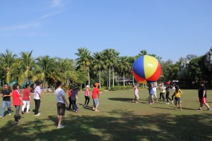 IMG_0061